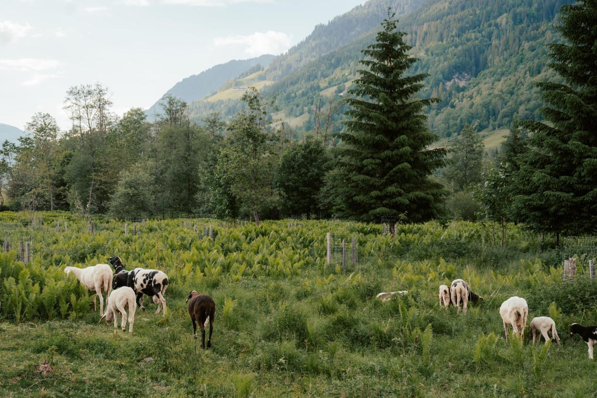 Ferienwohnungen Badbruckerweg- Bad Gastein Luaran gambar